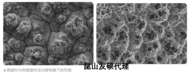 大理蔡司大理扫描电镜