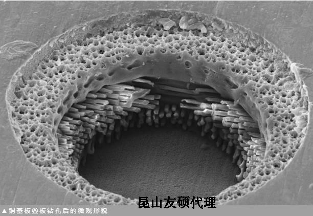 大理蔡司大理扫描电镜